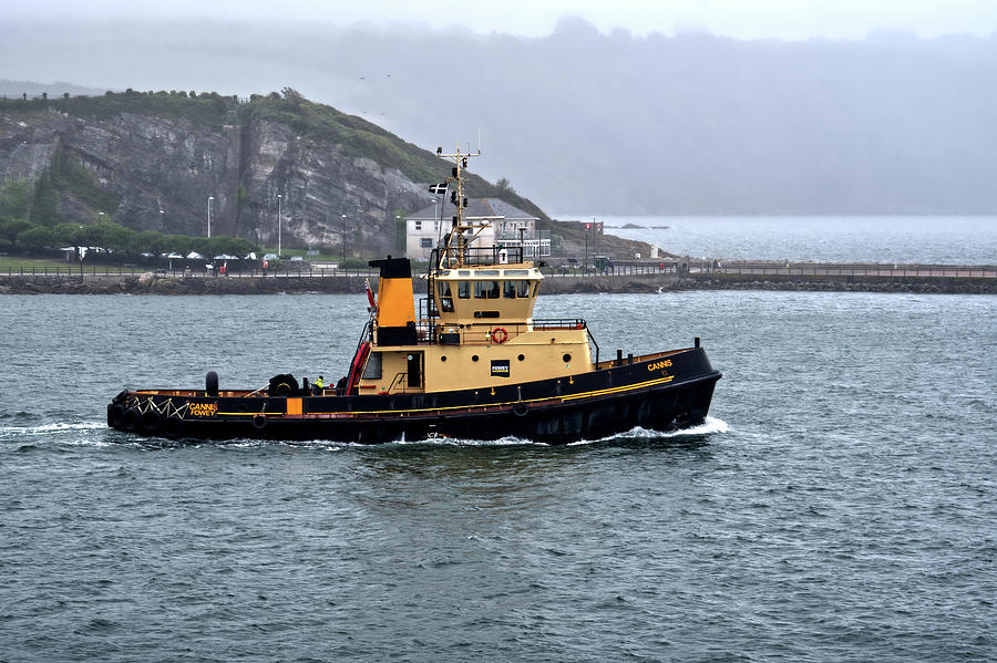 Tug Cannis Photograph by Chris Day