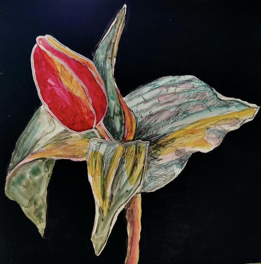 Tulip 1 Painting by Beverly Harrison