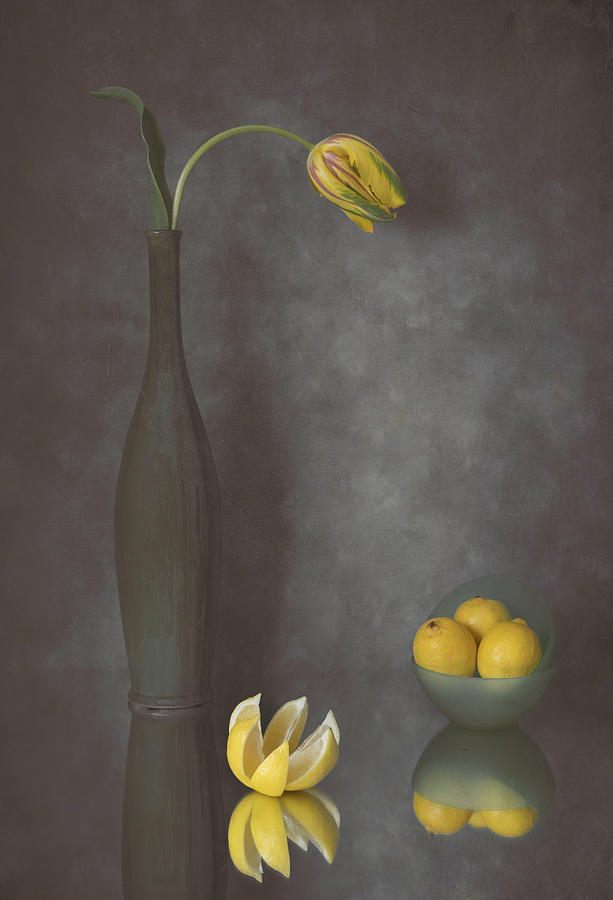 Lemon Photograph - Tulip & Lemons by Lydia Jacobs
