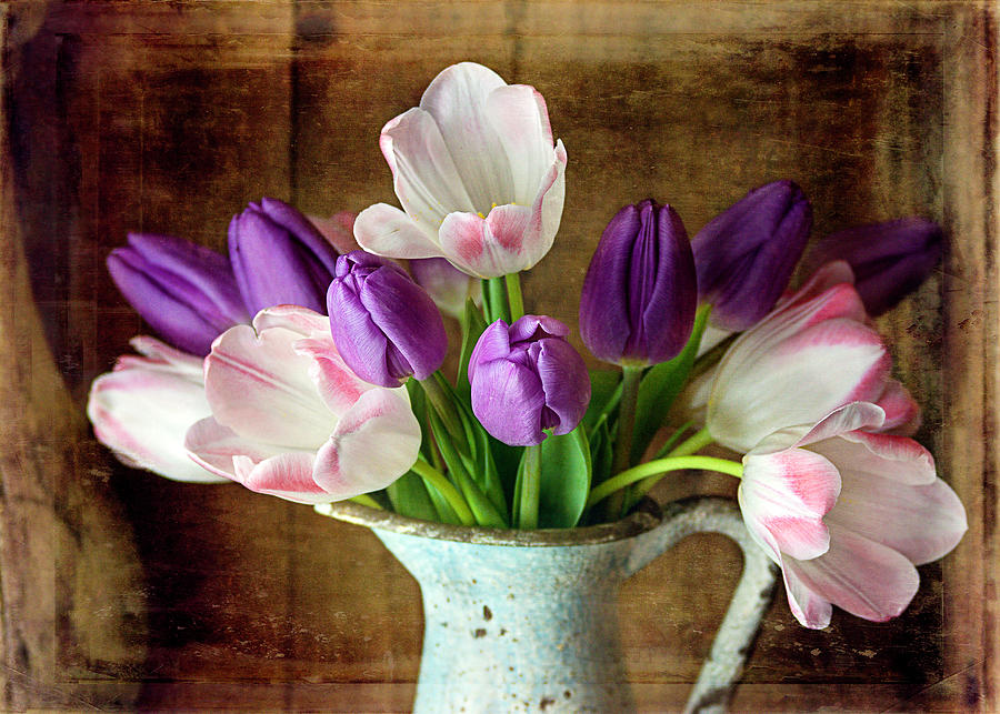 Tulip Photograph - Tulip Bouquet by Cindi Ressler