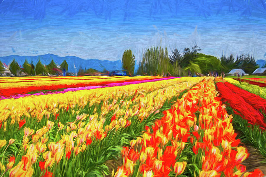 Tulip Festival Painting 01p Painting By Peter Zicherman