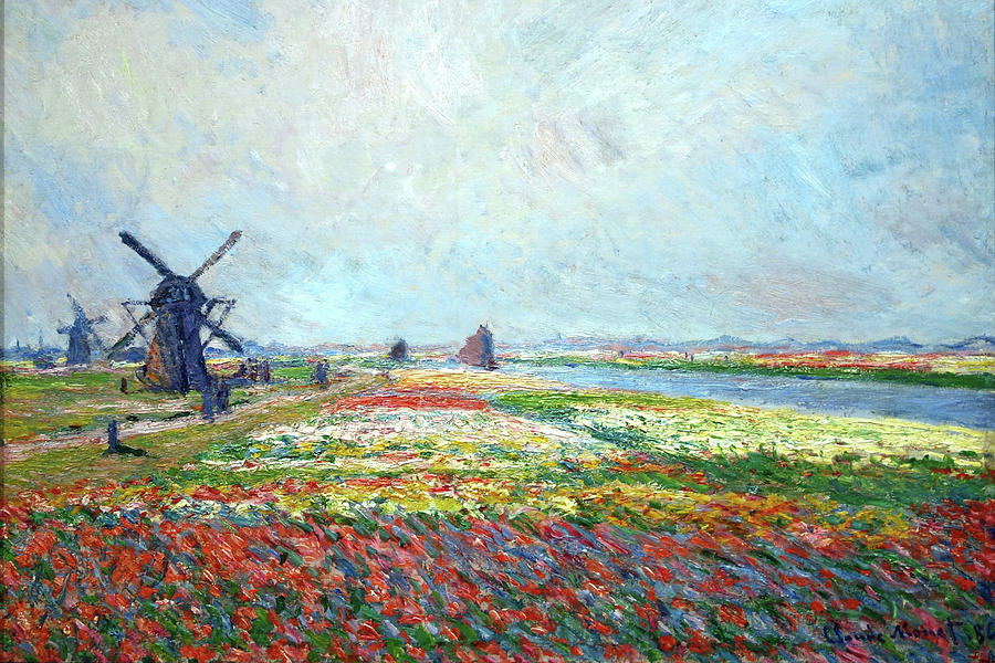 Tulip Fields Near The Hague by Claude Monet 1886 Painting by Claude Monet