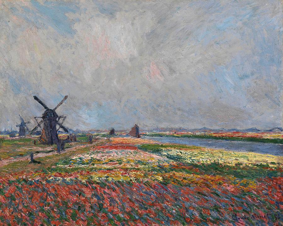 Tulip Fields near The Hague. Painting by Claude Monet -1840-1926-