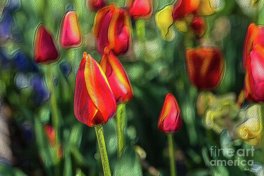 Tulip Garden Textured Mixed Media by Jennifer White