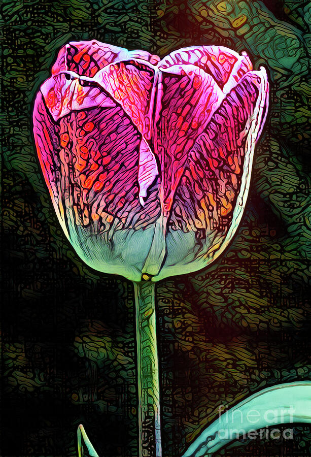 Spring Digital Art - Tulip In Light by Jean OKeeffe Macro Abundance Art