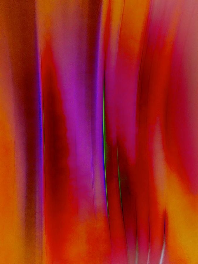 Tulip Petal Abstract Photograph by Christina Ford
