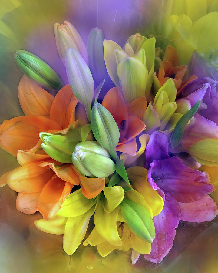 Tulip Rainbow Photograph by Ann Bridges