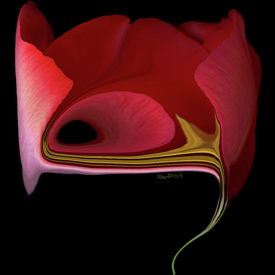 Tulipan Rojo by Carel Schmidlkofer Tulipan Rojo by Carel Schmidlkofer