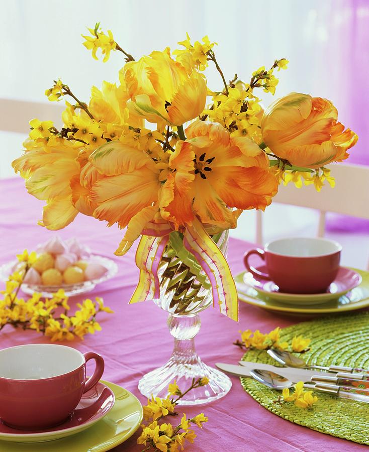 Tulips And Forsythia, Teacups Photograph by Friedrich Strauss Fine