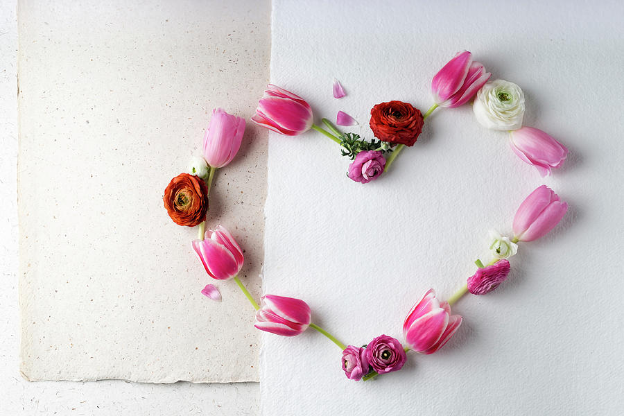 Tulips And Ranunculus Arranged In A Love Heart Photograph by Mandy Reschke
