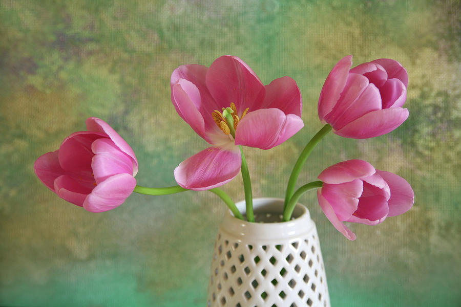 Tulips Photograph by Erika Craddock Tulips Photograph by Erika Craddock