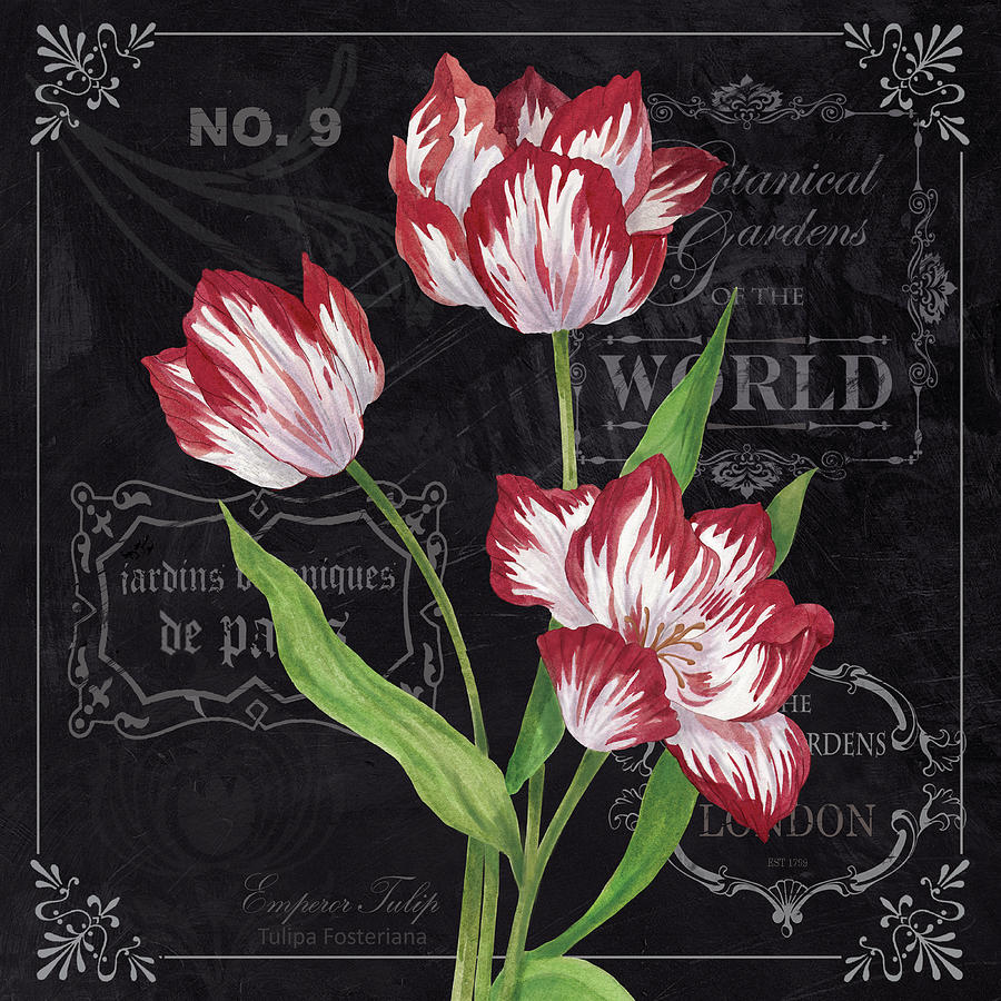 Tulip Mixed Media - Tulips by Fiona Stokes-gilbert