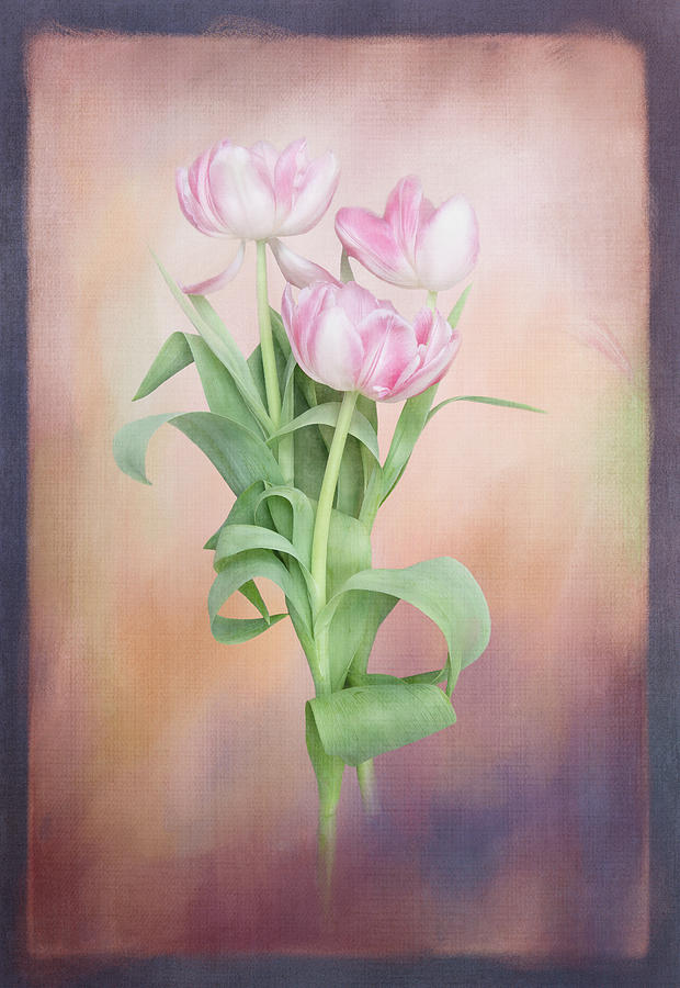 Tulips Framed Digital Art by Terry Davis