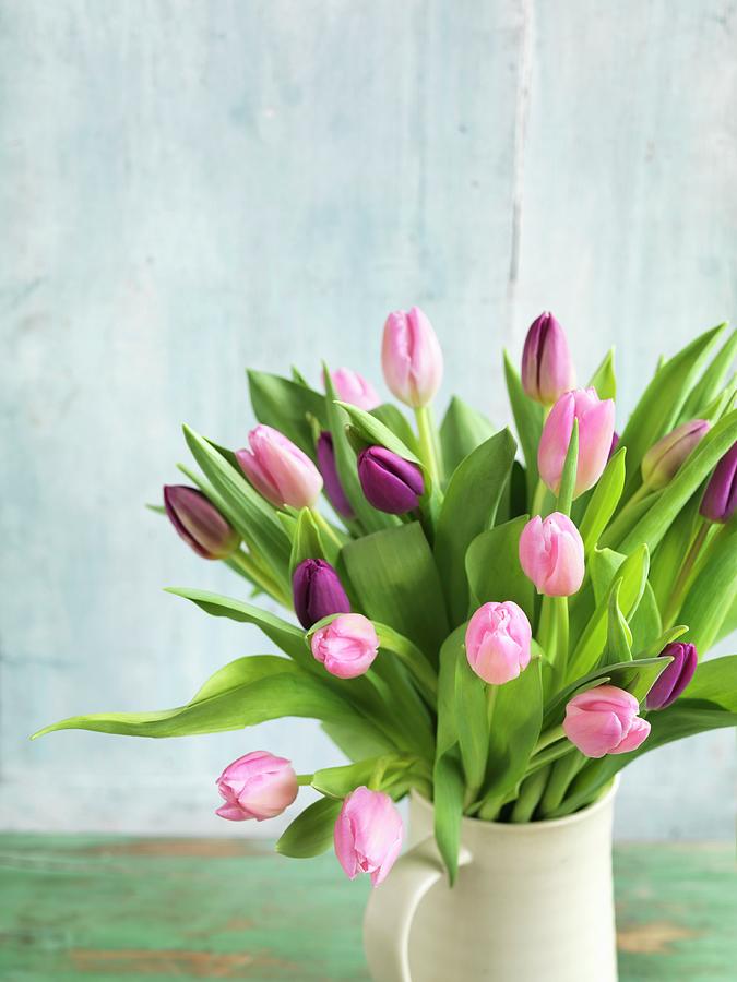 Tulips In A Jug Photograph by Jonathan Gregson