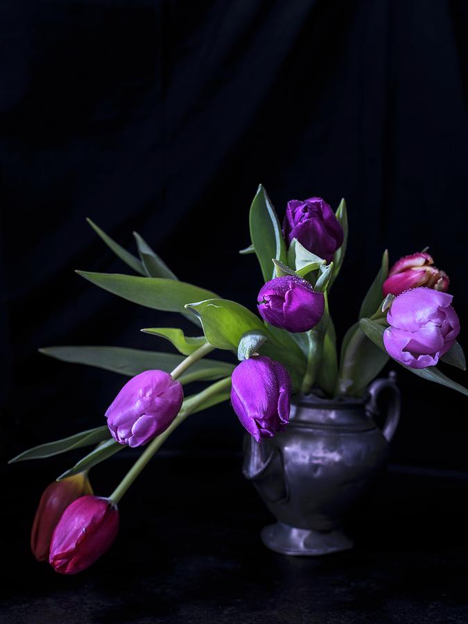 Tulips In Pewter Teapot Photograph by Elisabeth Von Plnitz-eisfeld