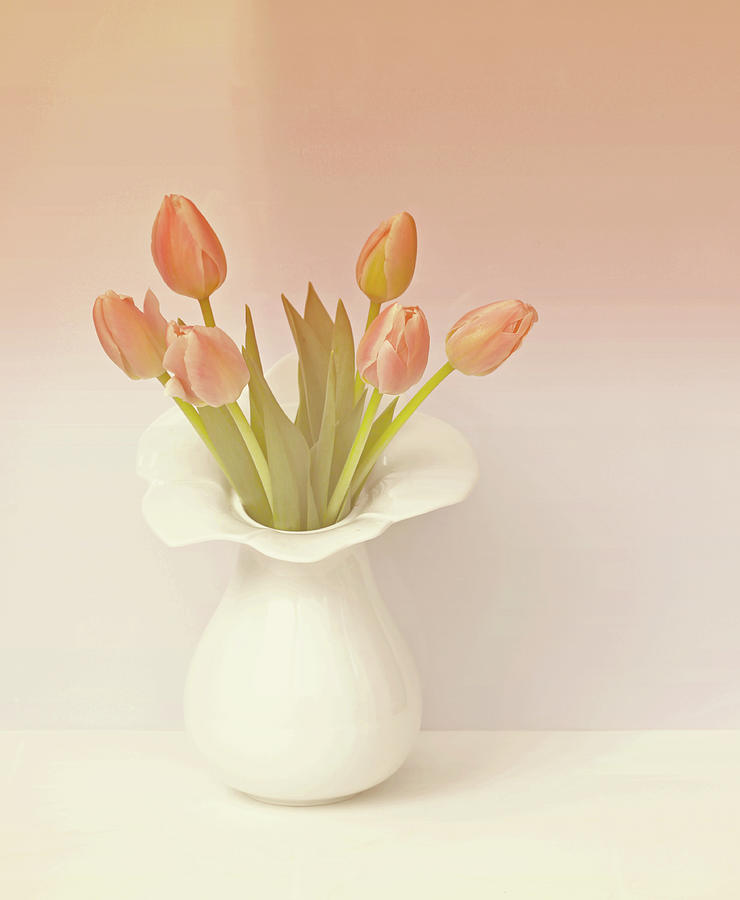 Tulips In Vase Photograph by This Wonderful Life
