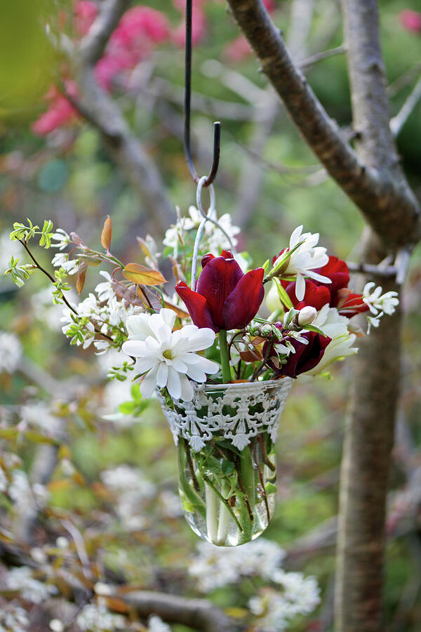 Magnolia Movie Photograph - Tulips, Magnolia Blossoms, And Rock Pear Blossoms In A Hanging Vase by Angelica Linnhoff
