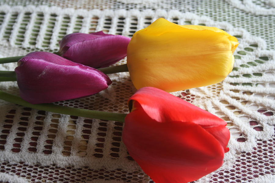 Spring Photograph - Tulips On A Antique Table Cloth by Kay Novy