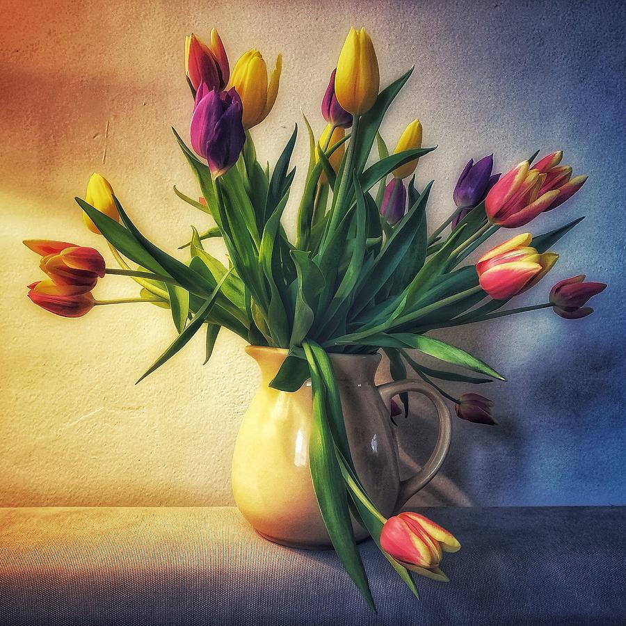 Tulips Photograph by Pawel Majewski - Fine Art America