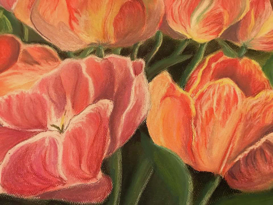 Tulips Pastel