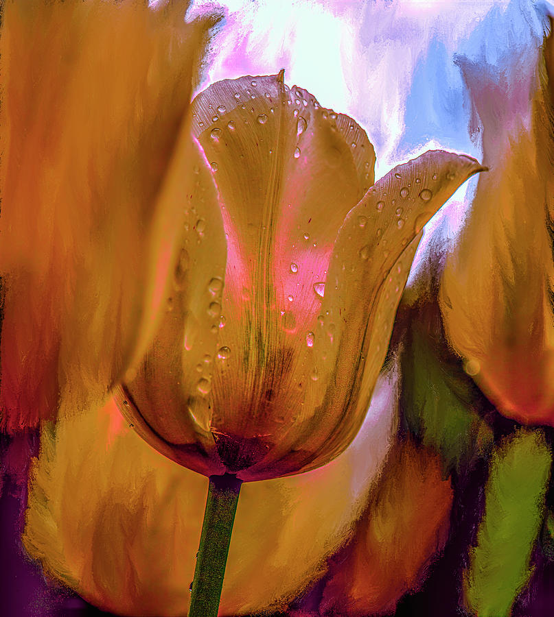 Tulips yellow #i7 Mixed Media by Leif Sohlman