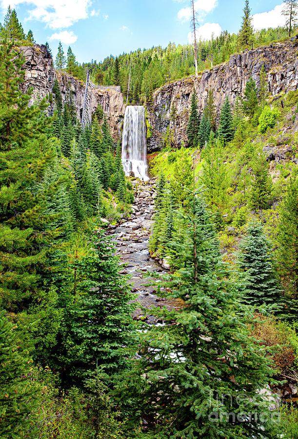 Tumalo Falls, Art, Pine Trees, Oregon, Bend, Wall Art, Framed Art Prints Landscapes, Photograph by David Millenheft