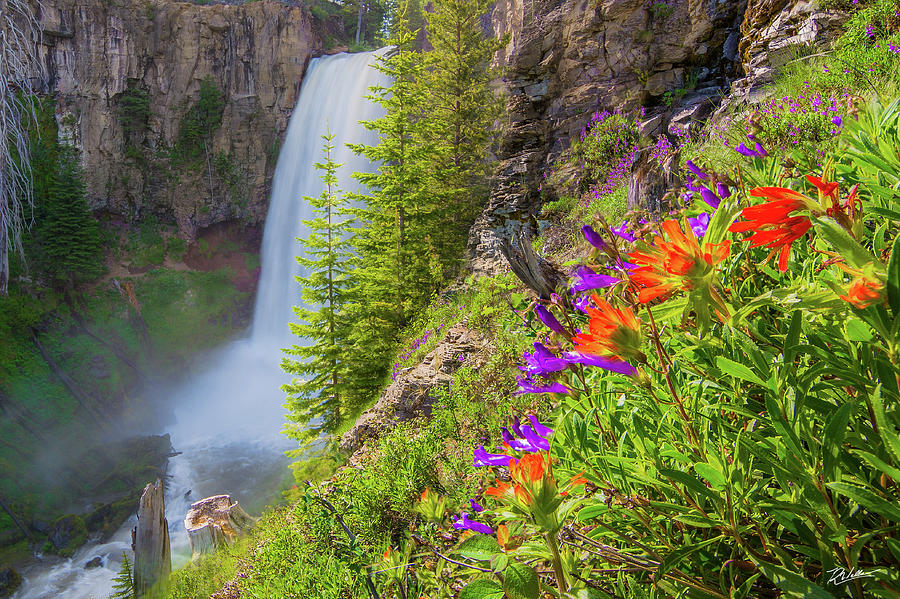 Tumalo Falls Bloom Photograph by Russell Wells