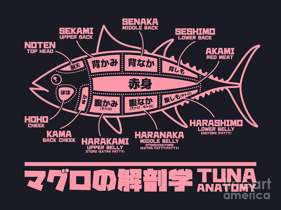 Fish Digital Art - Tuna Anatomy Japanese Maguro Sushi Black Coral by Organic Synthesis