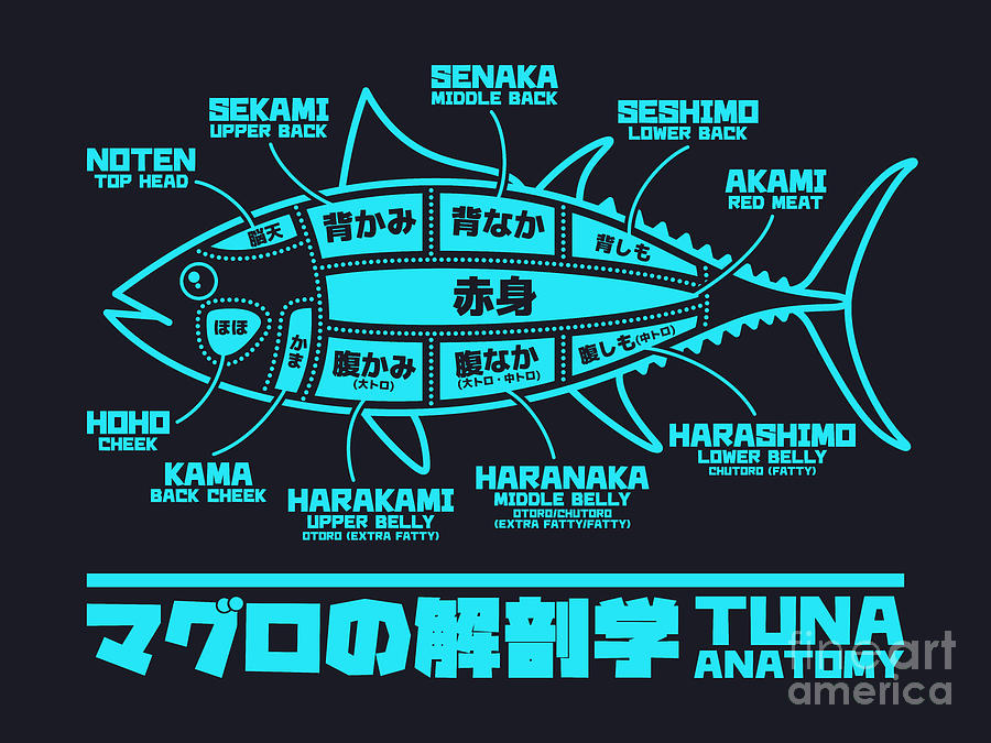 Fish Digital Art - Tuna Anatomy Japanese Maguro Sushi Black Cyan by Organic Synthesis