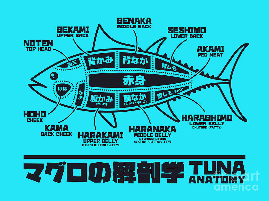 Fish Digital Art - Tuna Anatomy Japanese Maguro Sushi Cyan by Organic Synthesis