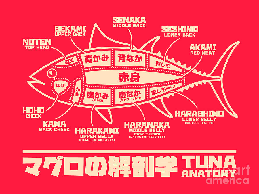Fish Digital Art - Tuna Anatomy Japanese Maguro Sushi Red by Organic Synthesis