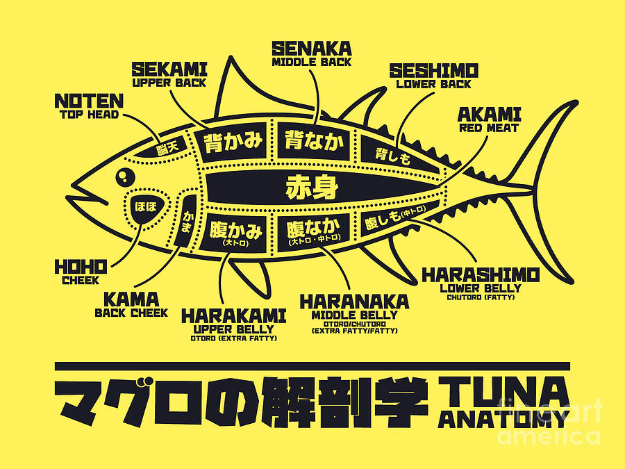 Fish Digital Art - Tuna Anatomy Japanese Maguro Sushi Yellow by Organic Synthesis