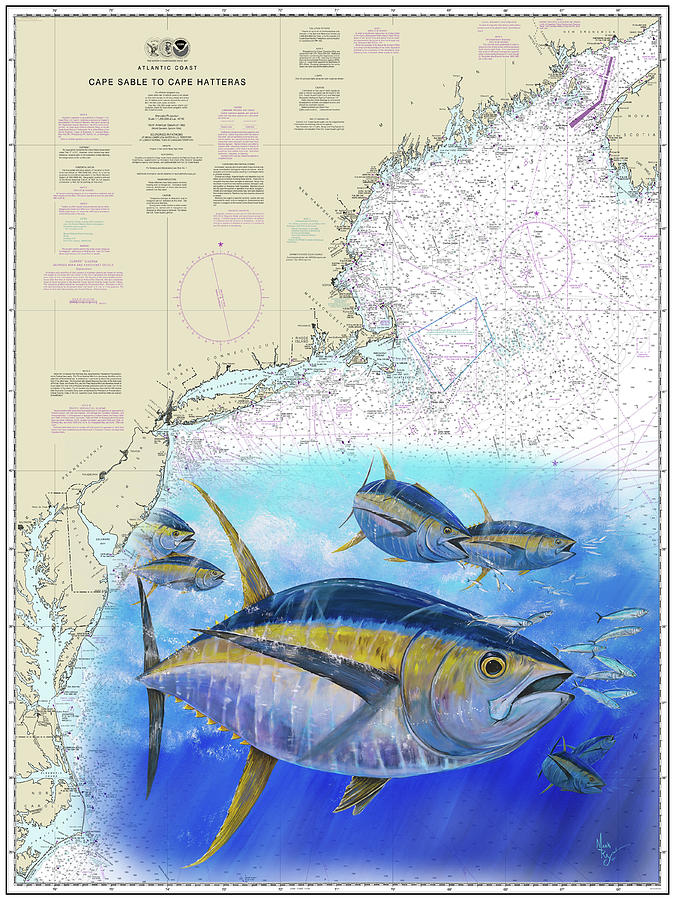 Tuna Chart Painting by Mark Ray