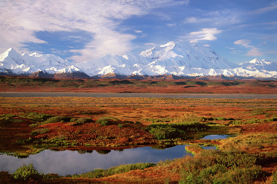 Tundra And Kettle Pond In Denali Photograph by Mint Images - David Schultz