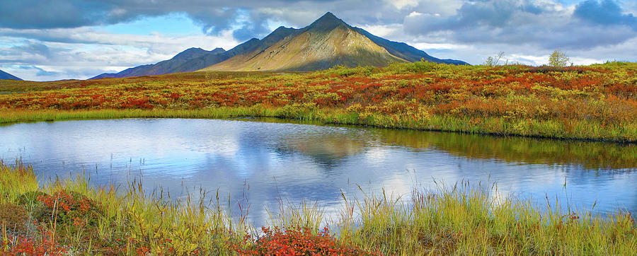 Tundra And Ogilvie Mountains Photograph by Tim Fitzharris