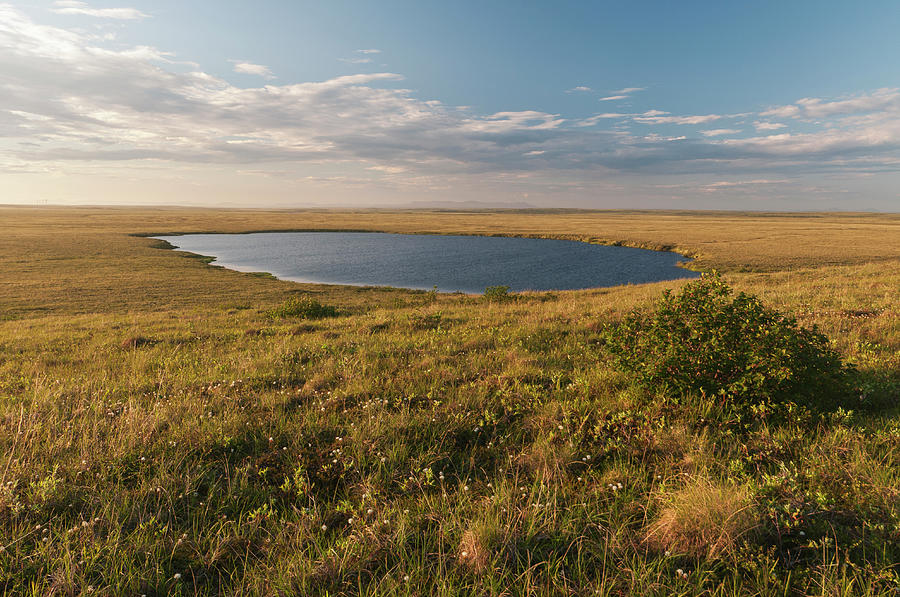 Tundra Landscape Photograph by John Elk Iii