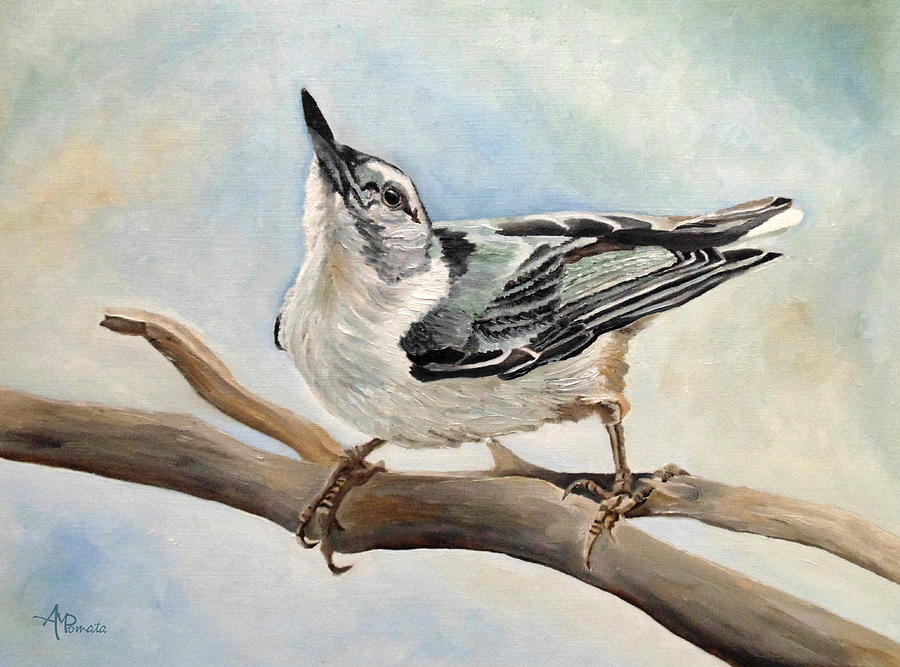 White-breasted Nuthatch Painting - Tuning In - White-breasted Nuthatch by Angeles M Pomata