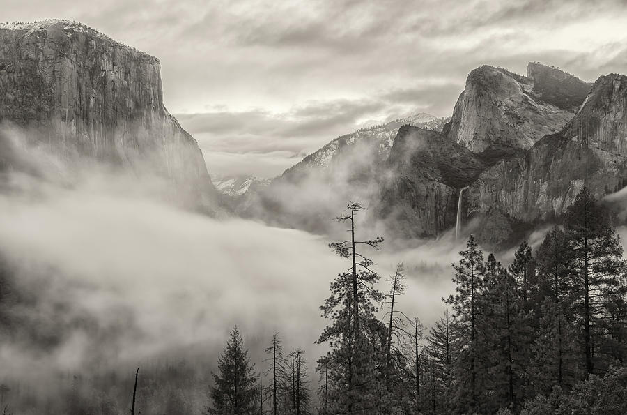 Tunnel View Fog Sepia Photograph by Jonathan Nguyen
