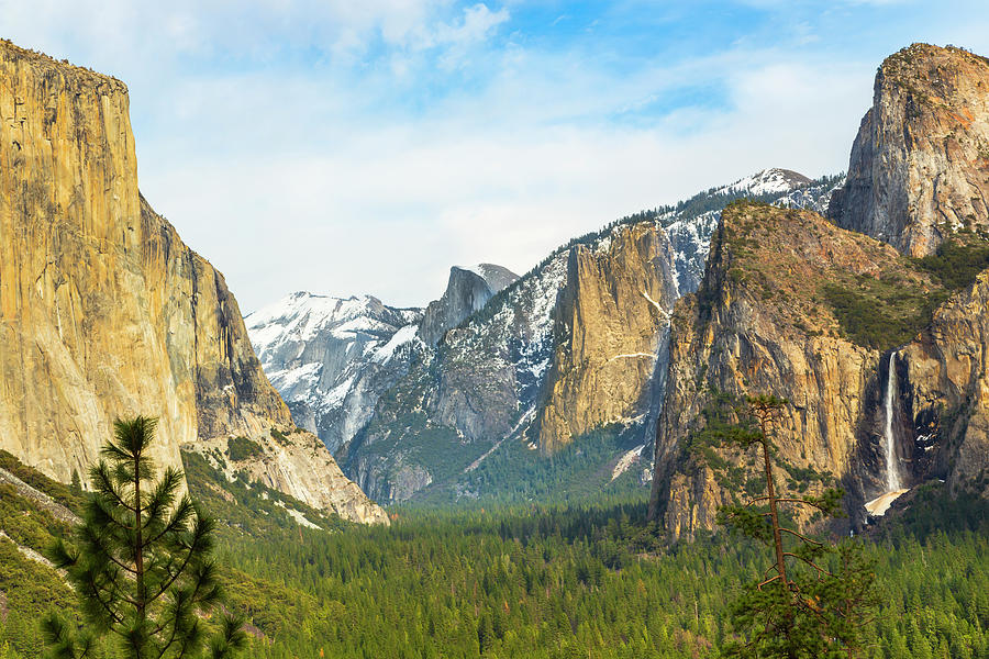 Tunnel View of El Capitan Photograph by Sean O'Cairde - Fine Art America