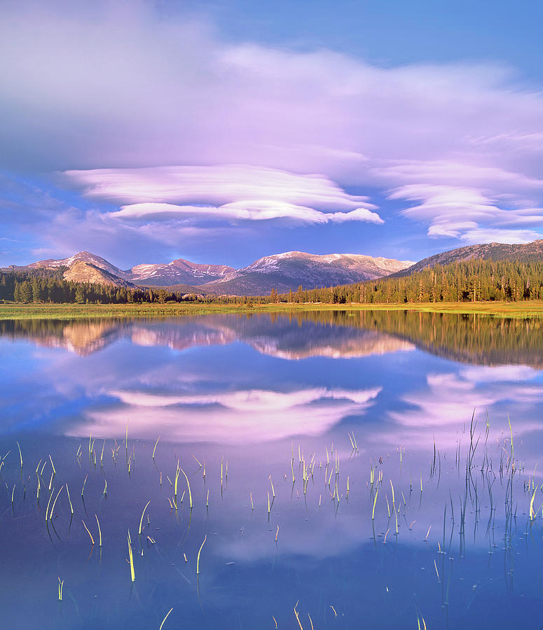 Tuolumne Meadow Reflections Photograph by Tim Fitzharris