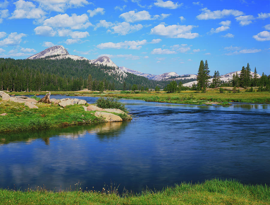 Tuolumne River In Yosemite National by Ron And Patty Thomas