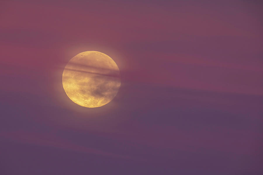 Turkey Moon Photograph by Mark Harrington