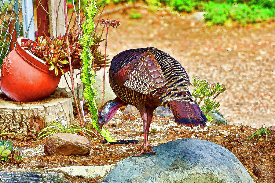 Turkey Pecking 1 Abstract   Digital Art by Linda Brody