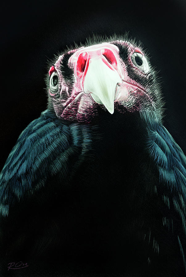 Bird Painting - Turkey Vulture by Raymond Ore