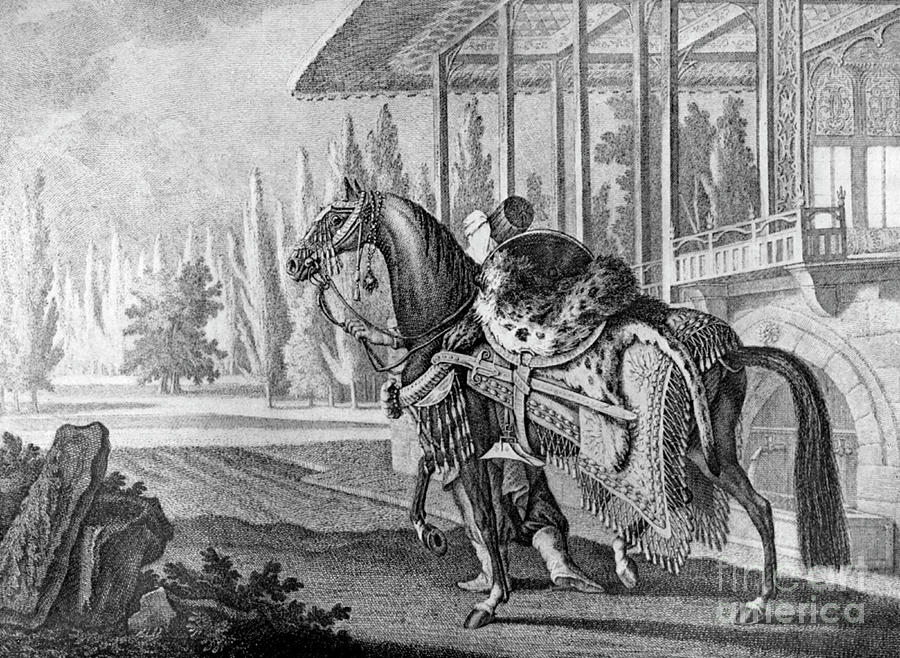 Turkish Pashas Arabian Hack, 1722 1938 Drawing by Print Collector