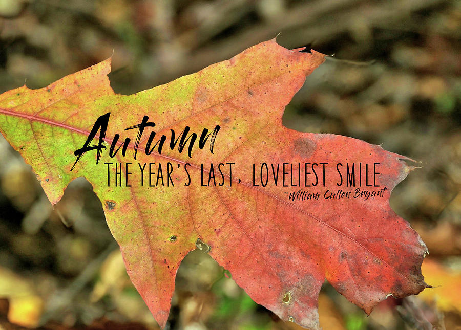 TURN A LEAF quote Photograph by JAMART Photography