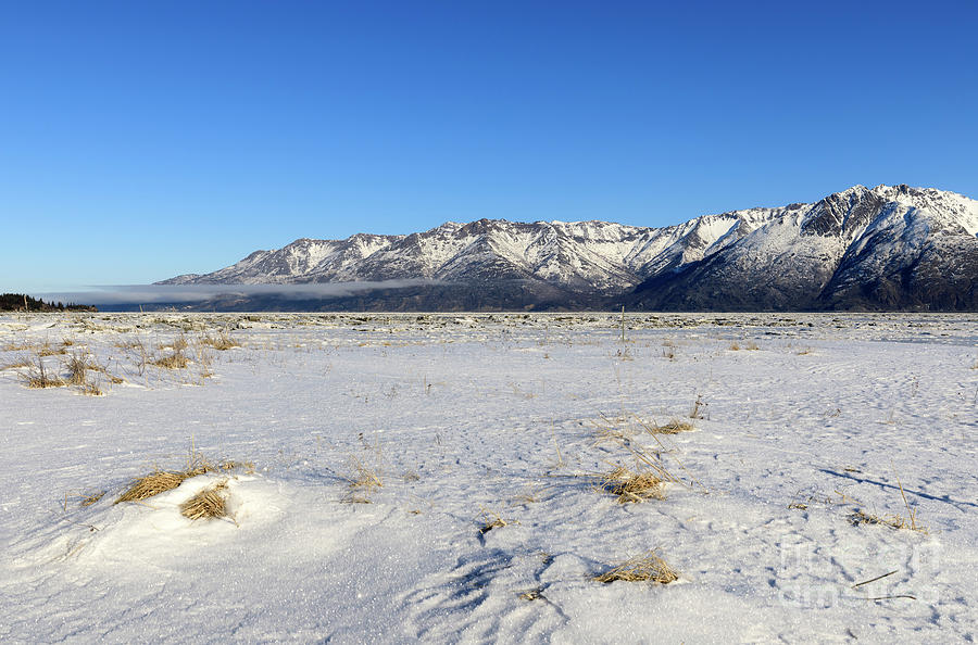 Winter Photograph - Turnagain Arm and Chugach Range from Hope Alaska by Louise Heusinkveld