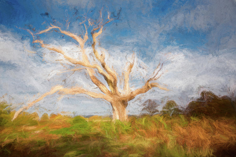 Turner Style Tree Digital Art by Roy Pedersen