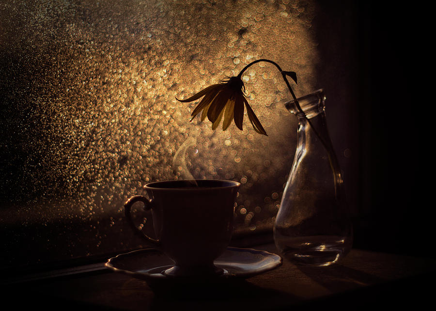 Coffee Photograph - Turning Seasons by Lenka