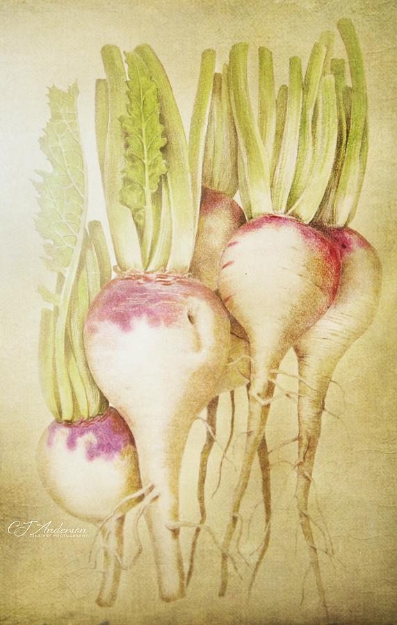 Turnips Photograph
